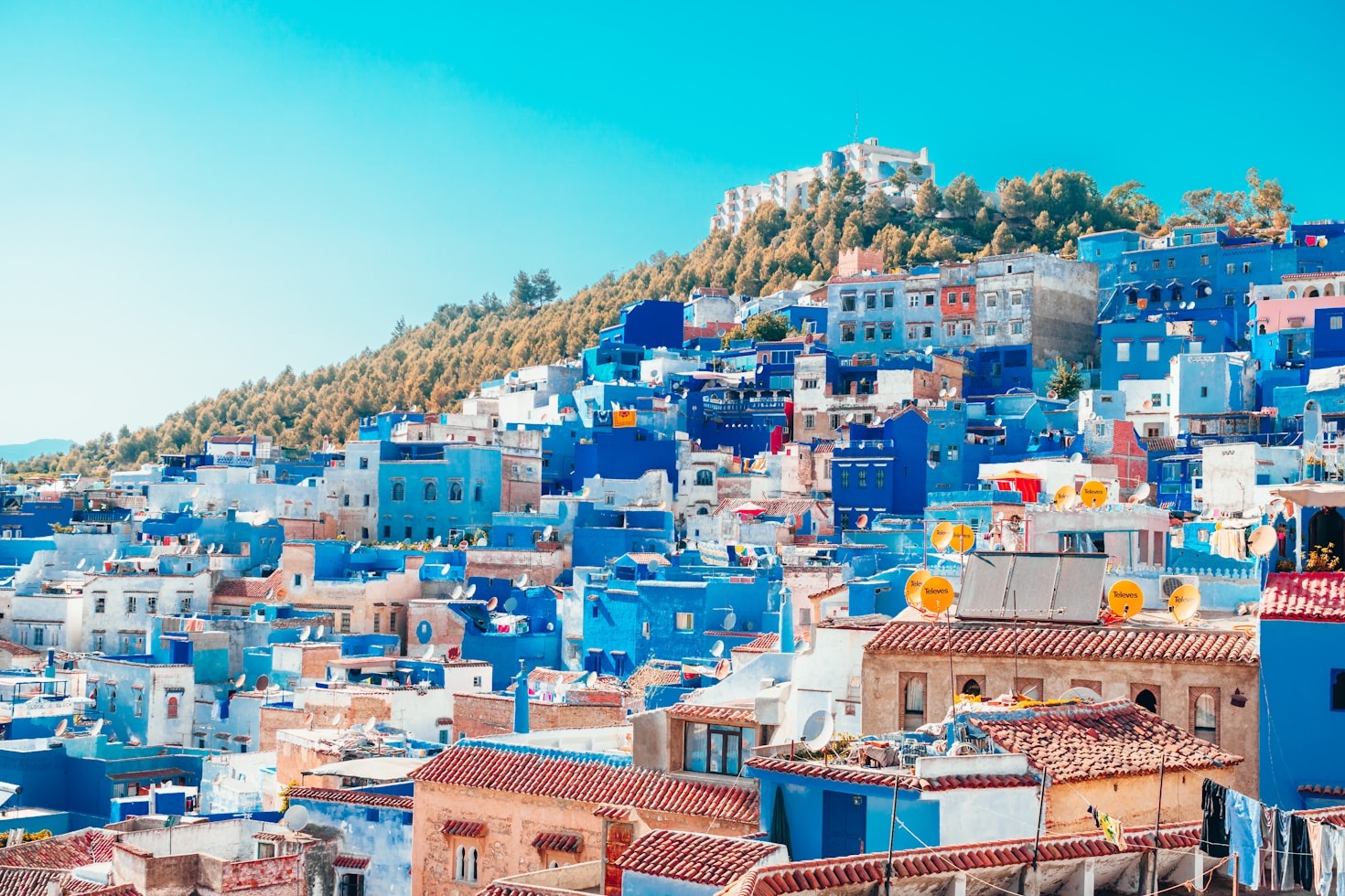 Morocco Becomes the UK’s Leading Blueberry Supplier