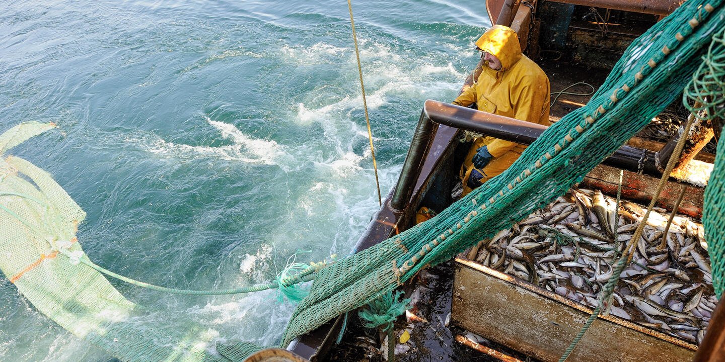 Dakhla fisheries and Morocco's Atlantic blue economy